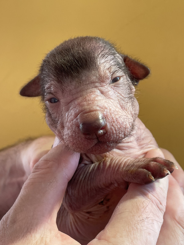 3A0DD998-8DAC-4664-B043-99C566625309