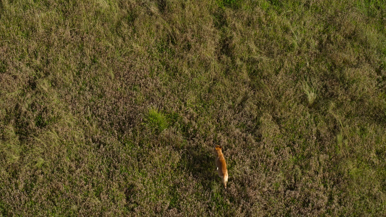 vlcsnap-2022-12-15-12h31m57s044