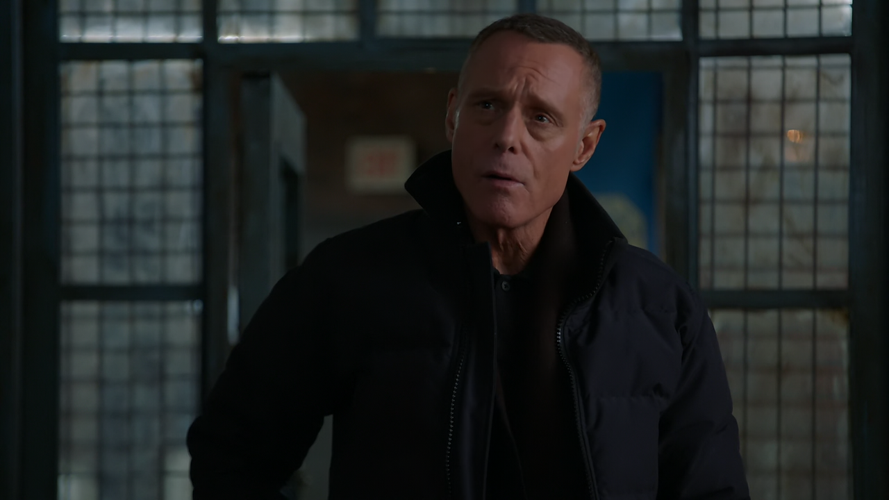 Chicago.P.D.S12E16.Seen.and.Unseen.1080p.10bit.AMZN.WEB-DL.DDP5.1.HEVC-Vyndros.mkv_snapshot_25.55_[2