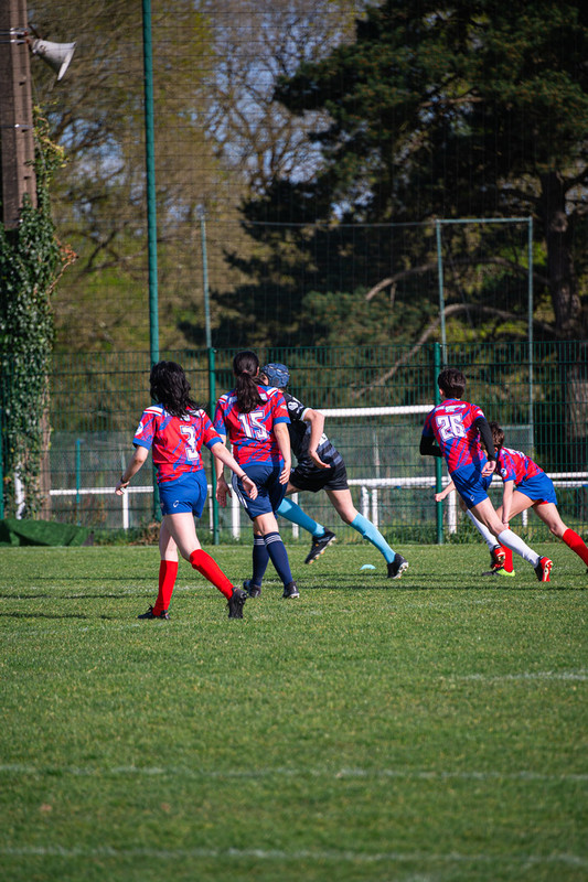 tournoi-de-latlantique-2026-adonis-griffon-249-55181506724-l