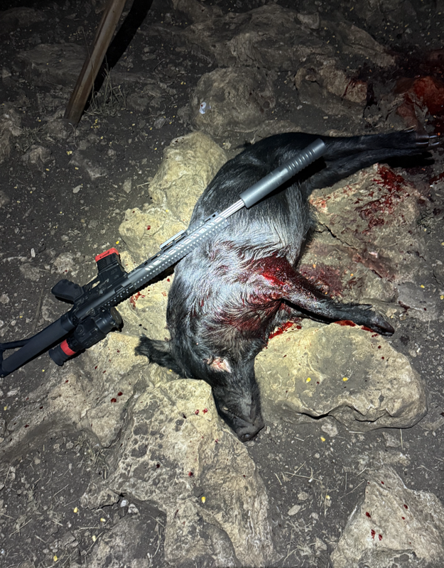 Screen Shot 2024-11-26 at 6.16.06 PM