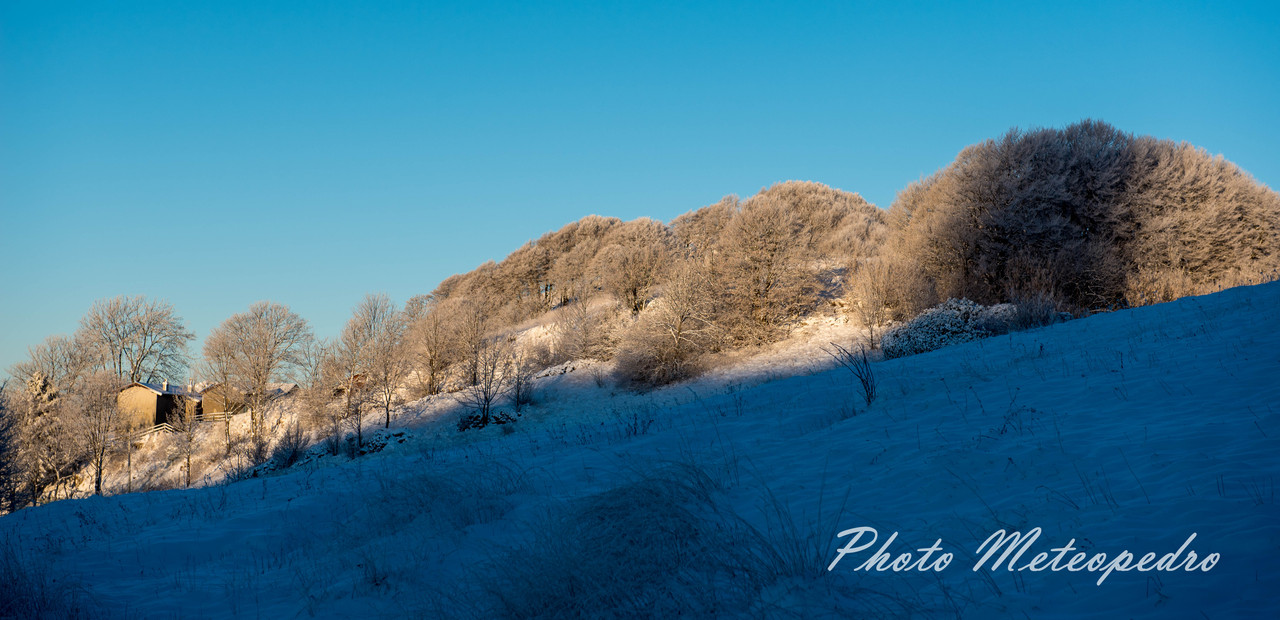 after the snowfall (12)