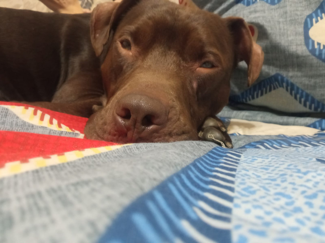 3BE91B2C-CC20-4497-B0D8-BF028B0C68A2