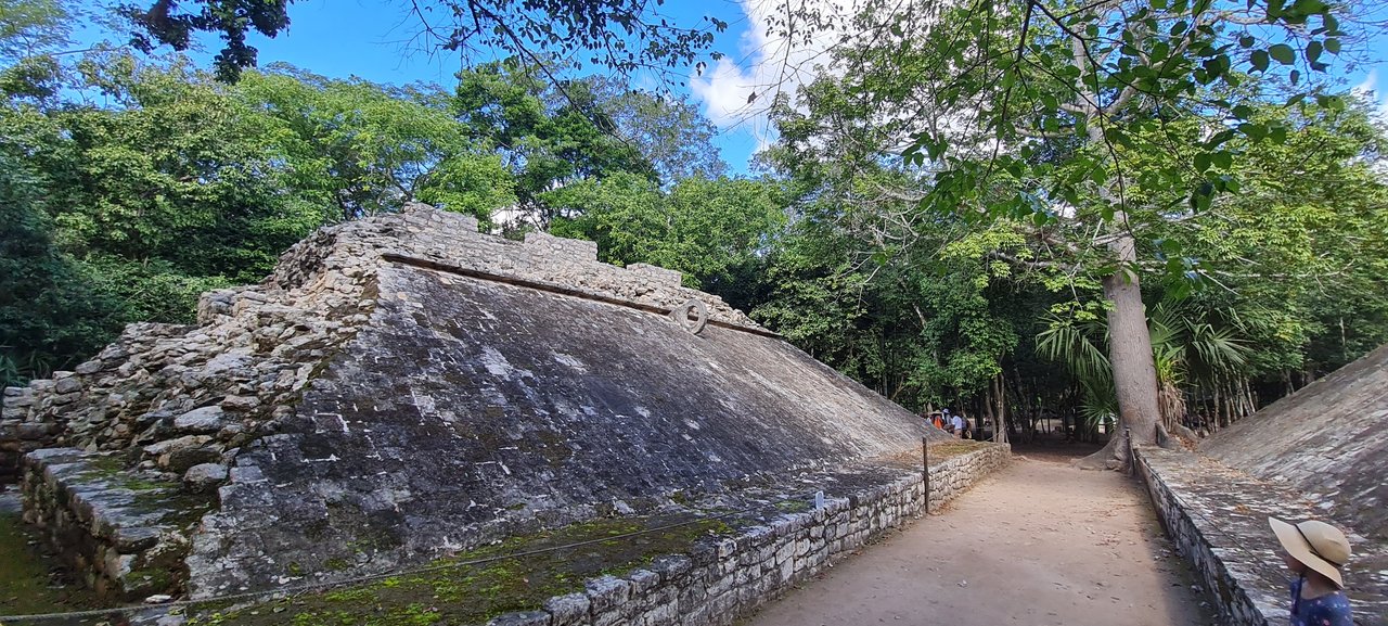 Riviera Maya en Navidad - Blogs de Mexico - Ruinas de Tulum, Cobá, el Gran Cenote y snorkel con tortugas en playa Paraíso (7)