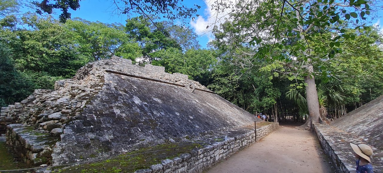 Ruinas de Tulum, Cobá, el Gran Cenote y snorkel con tortugas en playa Paraíso - Riviera Maya en Navidad (7)