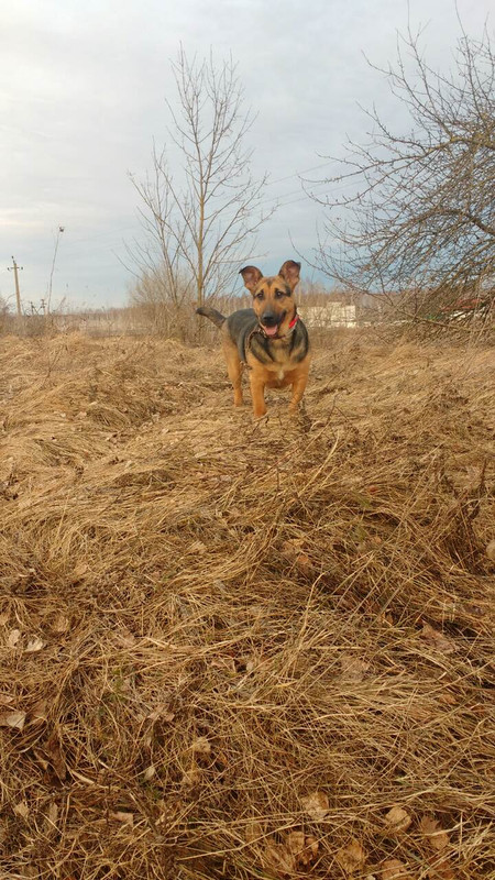 IMG-f7723fda9fc78f7cc80e4f434e094ca9-V