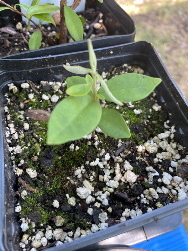 DFD4DA53-B619-4049-81E9-BF1BBECD5042