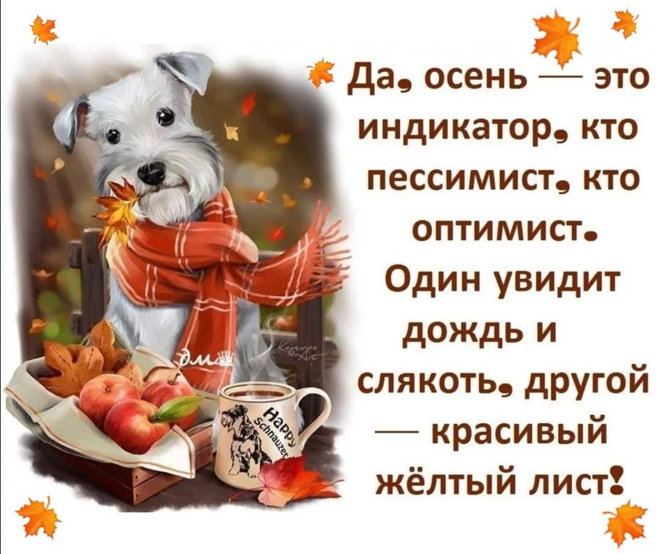 аптима