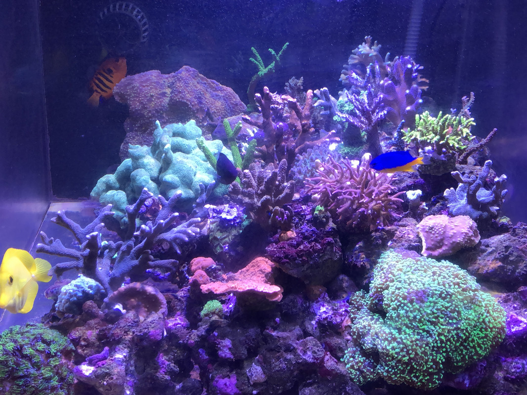 A50D7F1E-2E7C-4F20-987F-C666B6663801