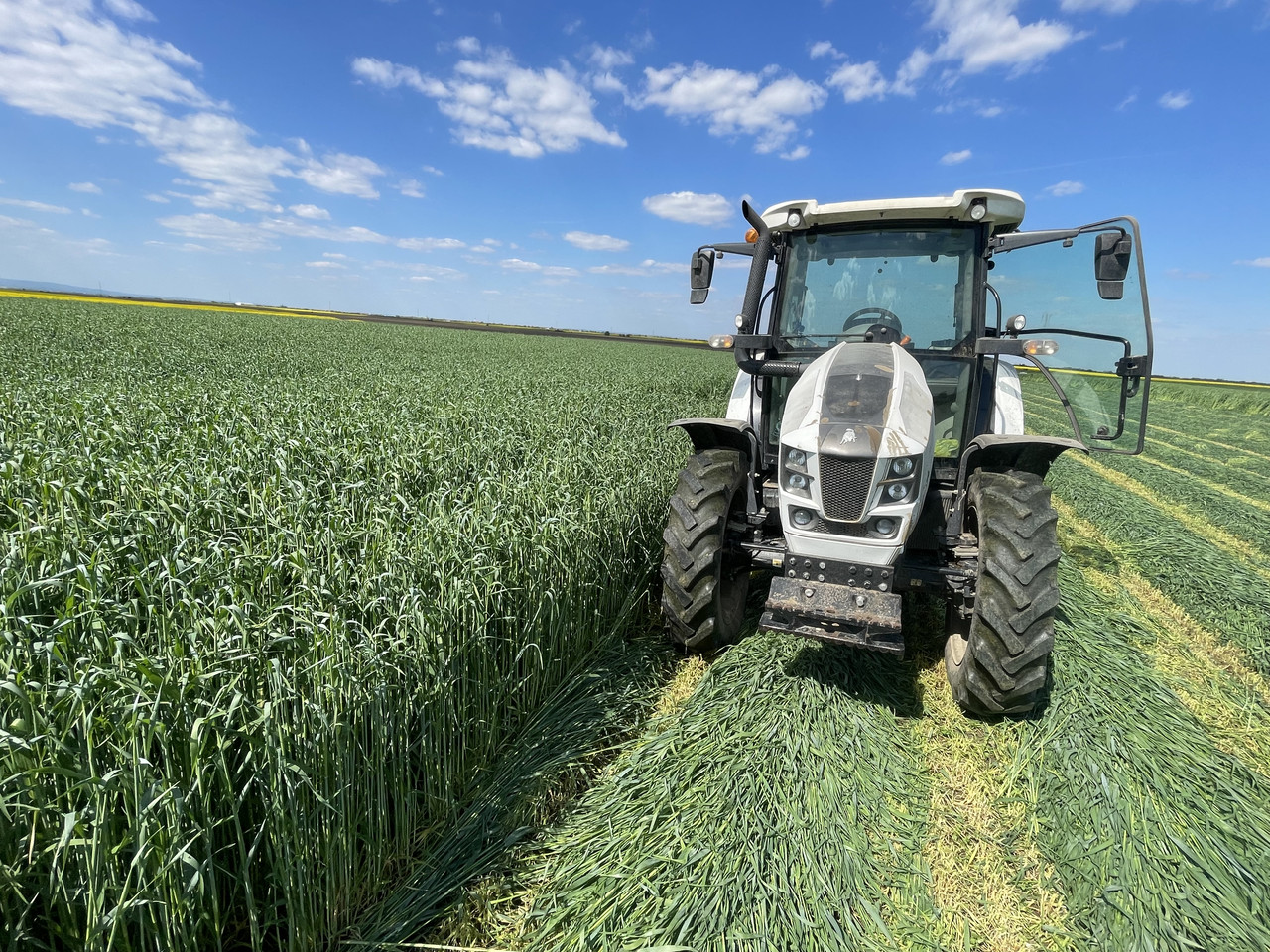 87D96445 D19F 4905 8BC0 BE831B27059D