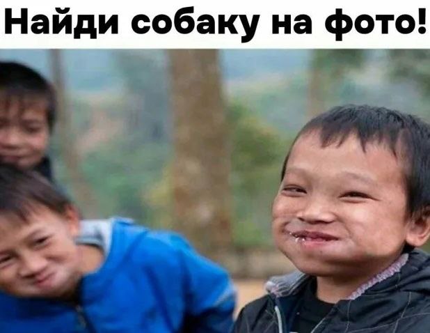 собаку photo_2023-09-19_16-42-53