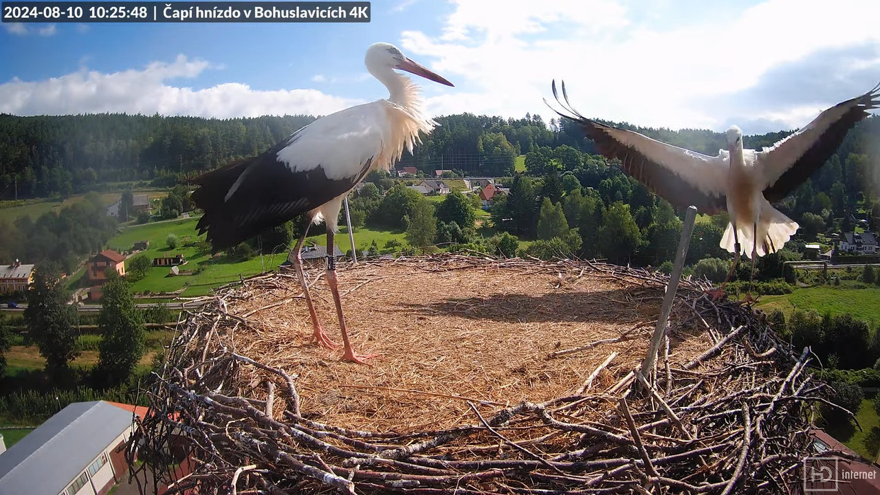 Tiešraidē no uzņēmuma KARA stārķa skursteņa Bohuslavicē pie Trutnovas 14-3-2 screenshot
