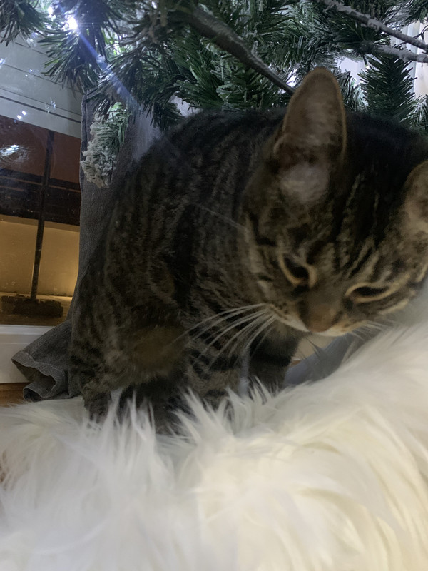 987E7E36-2250-4972-987E-A622BFF82962