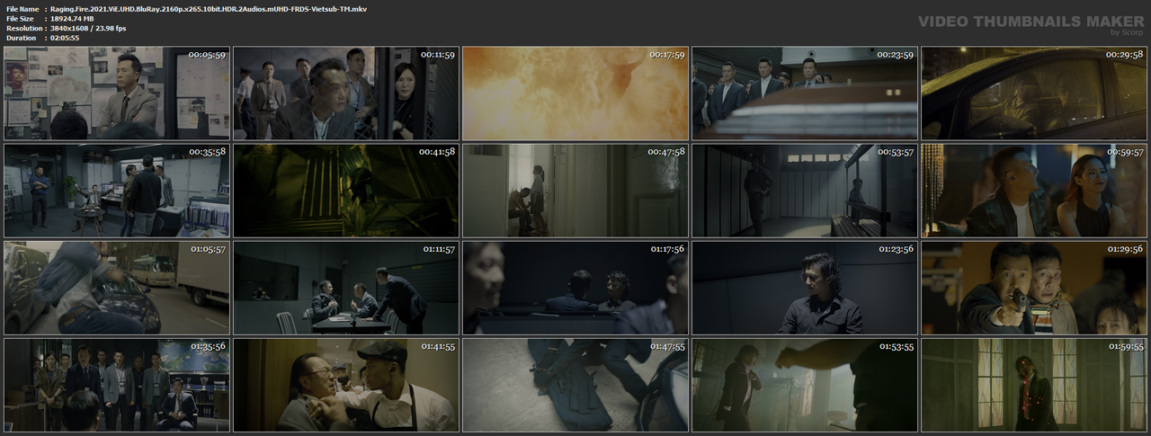 Raging.Fire.2021.ViE.UHD.BluRay.2160p.x265.10bit.HDR.2Audios.mUHD-FRDS-Vietsub-TM.mkv