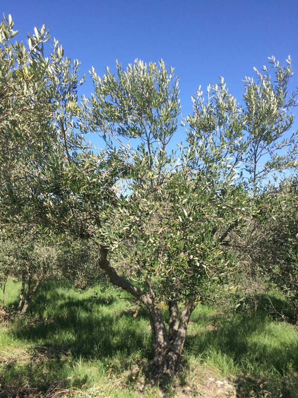 B73ECAFE-9458-4614-A2B8-6CF100C5A090