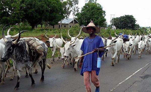 fulani-herders-in-nigeria