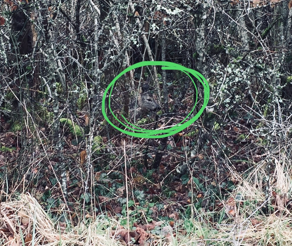 CA385D73-83BA-491B-B80A-DC60BA35E105