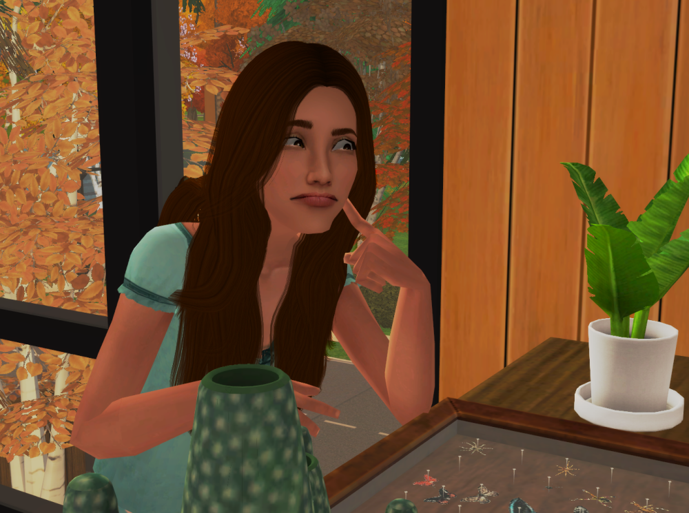 Sims2-EP9-RPC-2022-05-12-21-33-32-85