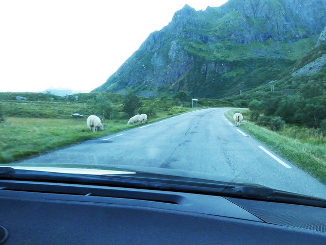 12 días por Noruega: Bergen - Tromsø - Islas Lofoten - Oslo - Blogs de Noruega - DÍA 6 – LOFOTEN: KABELVÅG-HENNINGSVÆR-GIMSØY-BUKSNES-BALLSTAD- ¡y AURORAS! (19)
