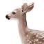 made by @litlangel on tumblr