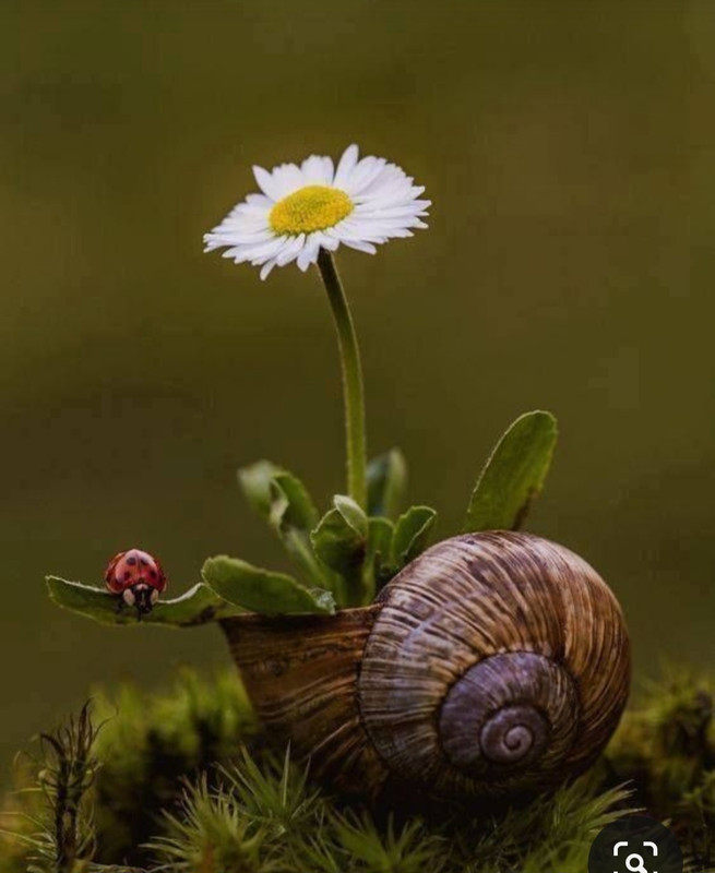 Screenshot_20230925_223637_Pinterest