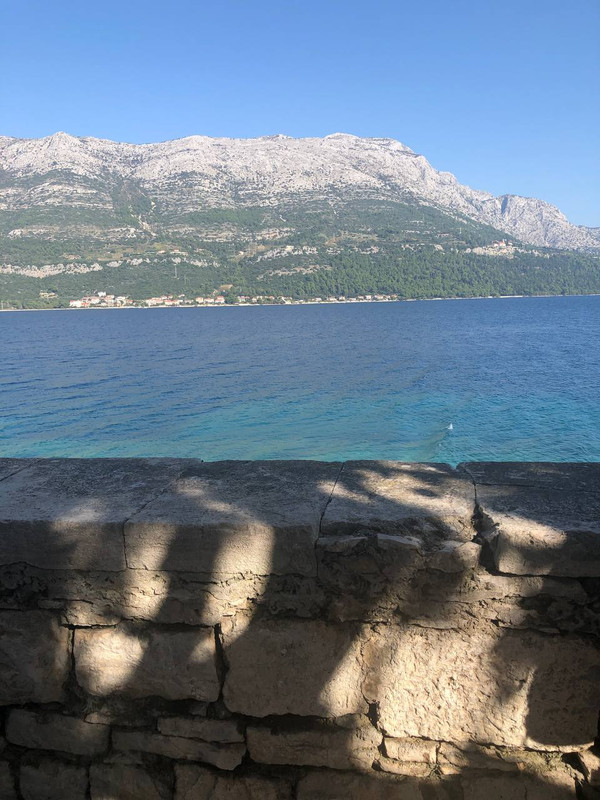 photo_2024-10-29_12-56-16