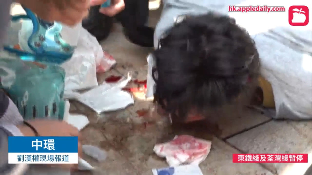 20232416_1946038942281223_2615604480128022635_oyy