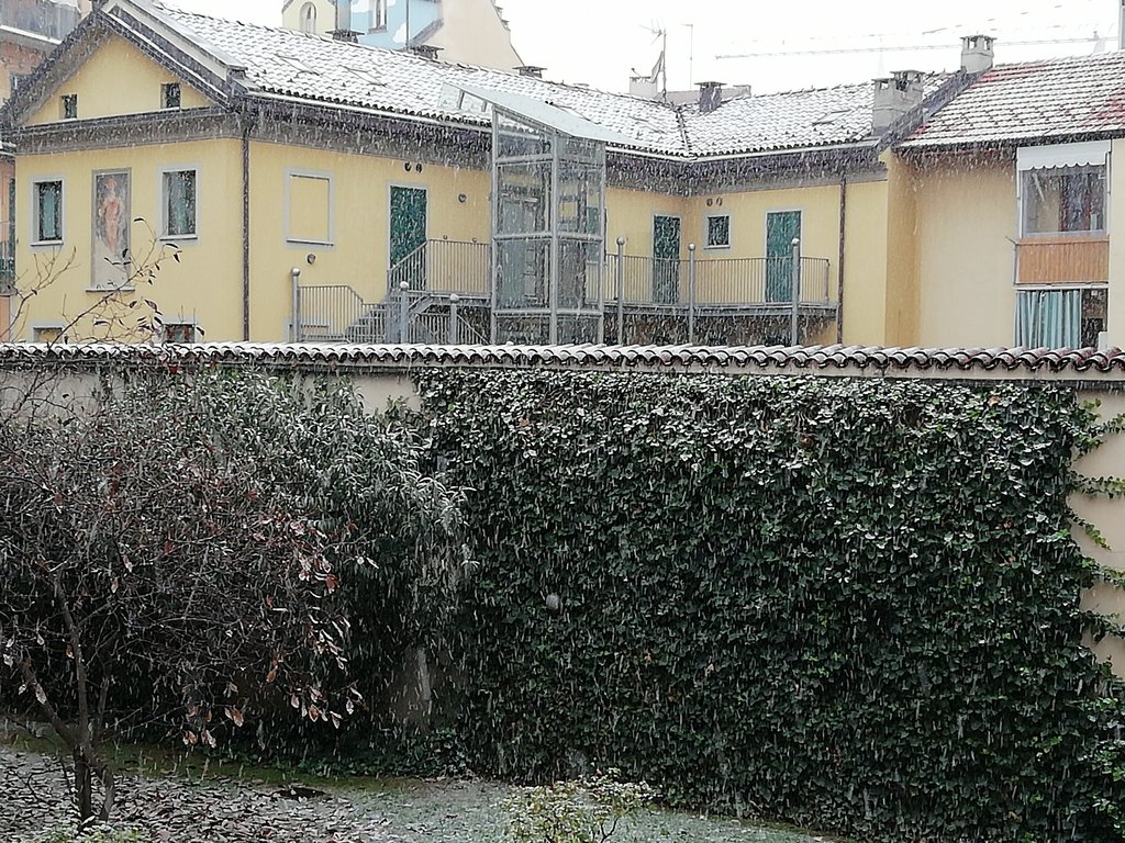 Immagine