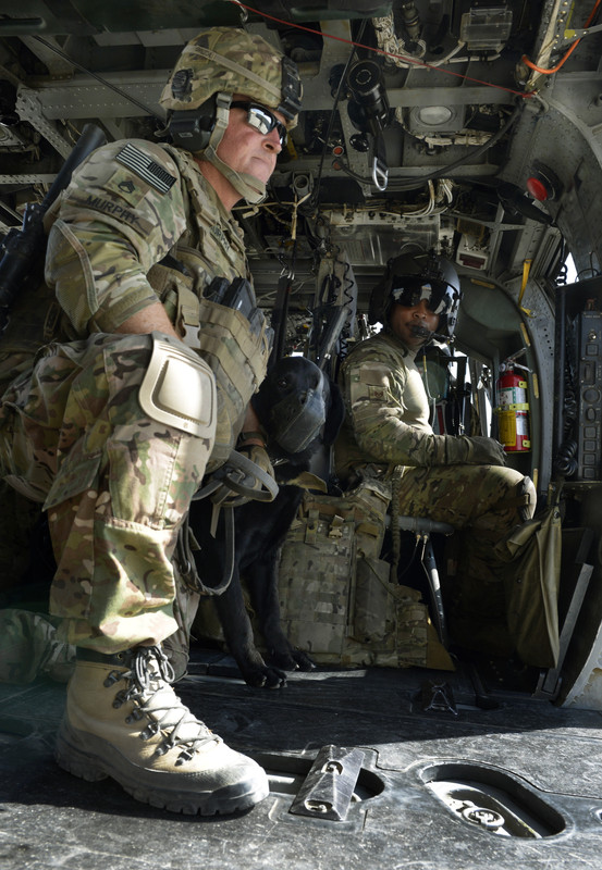 K9 Airman 1st Class Jason Fischman9