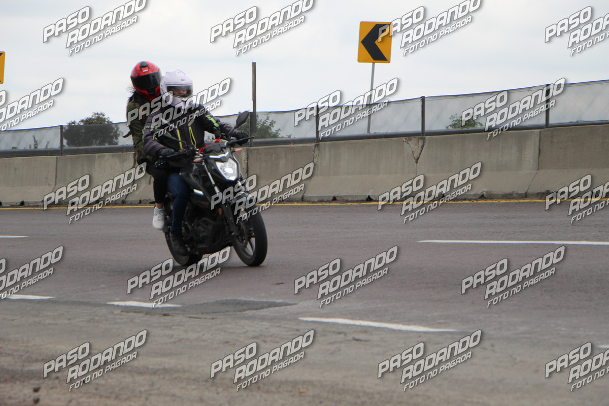 IMG 5345 wm 812054 5 watermarked — Postimages
