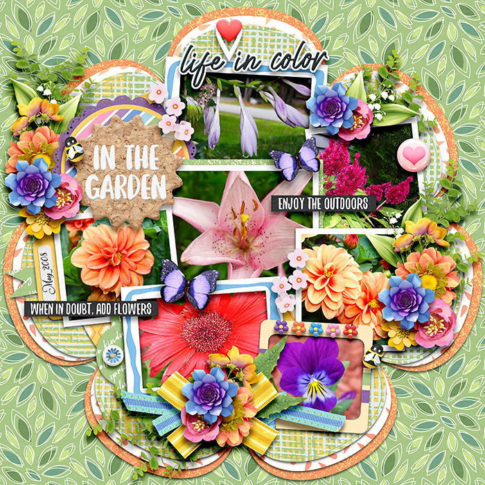 May-Flowers.jpg