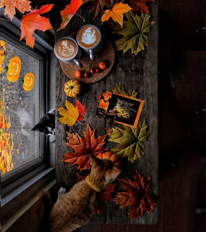 Screenshot_20231207_154346_Instagram