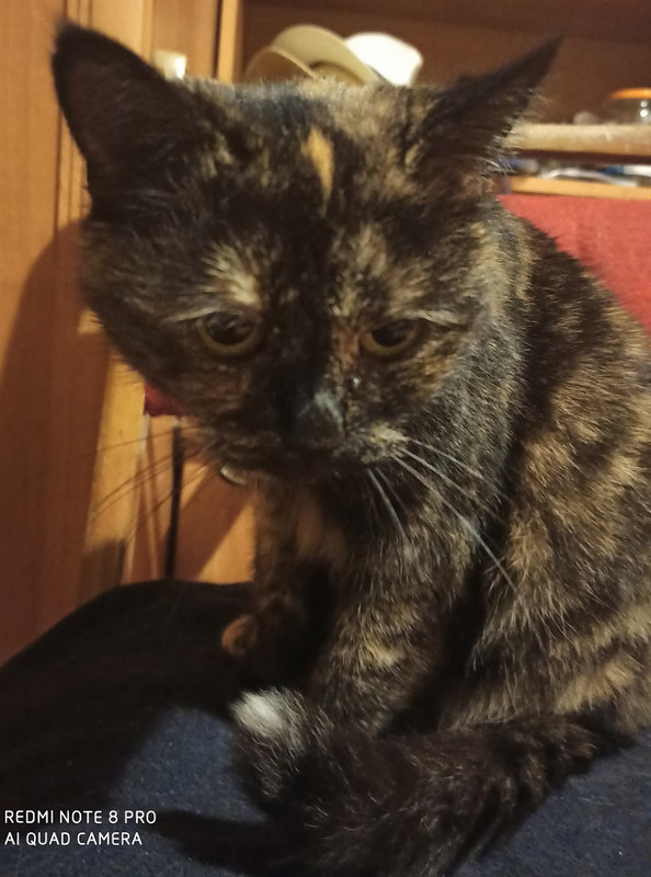 IMG_20201128_191814 (2)