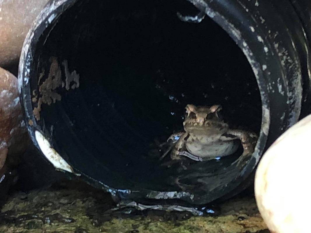 66587036_10157301040077457_652135043812032512_o