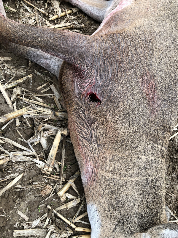 D625D1A0-7E2A-4297-A563-5D44CD368B5B