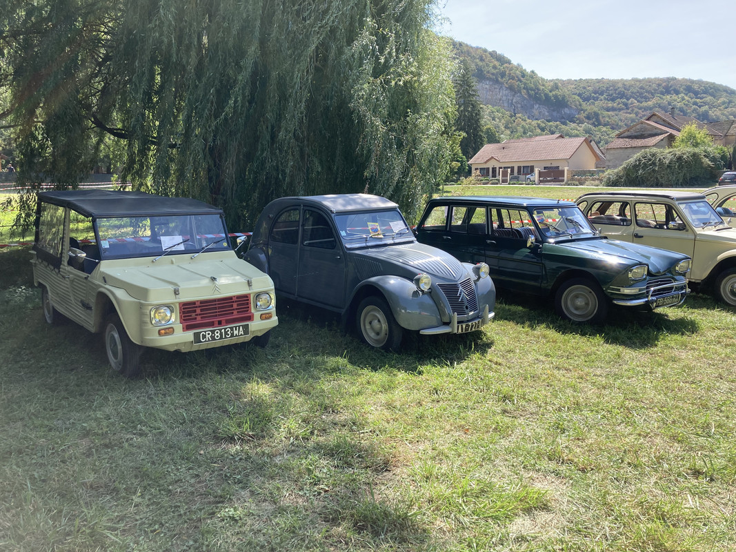 164496AF-E6D4-4F23-9718-B03DE8A2A51F