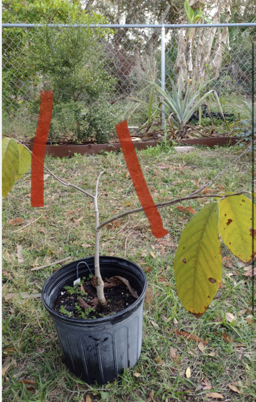 82AF6FBB-EDAE-42BD-A726-5B435ED0B7F0