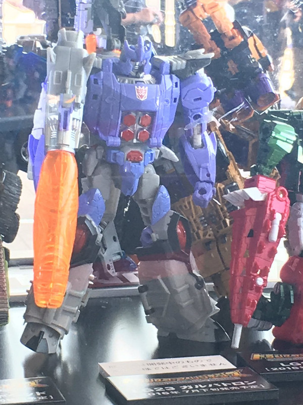 Takara-Legends-Display-02