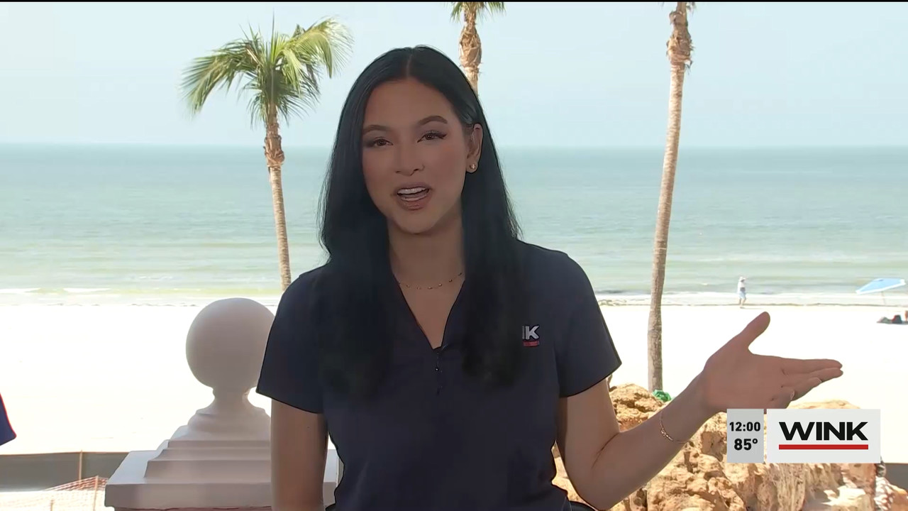 03.28 - 17.00.00 - The WINK Noon News  ᴺᵉʷ. Midday news update..ts_snapshot_07.25.721