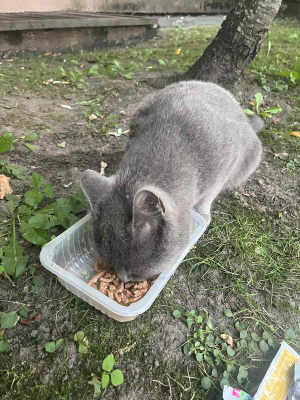 IMG-c8d204fd359c35d4bd6bff72cd531b06-V