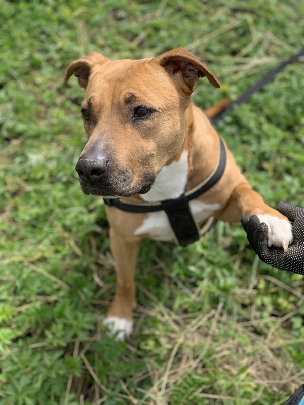 79046DEC-FD9C-419A-A5D5-1E2B1E9EA5F7