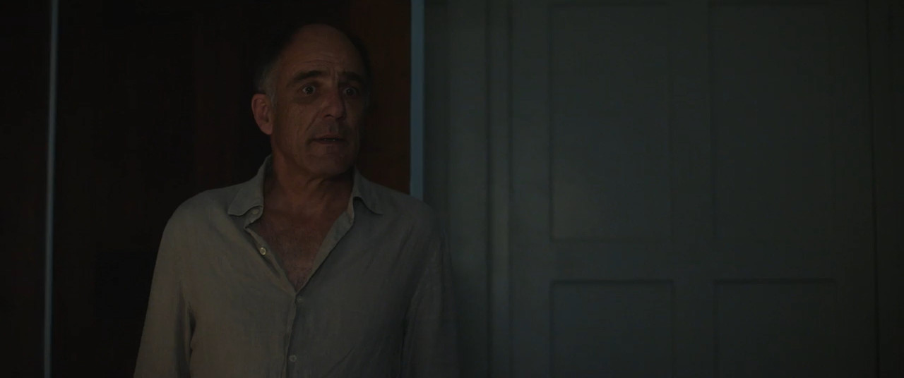 Dalloway 2025 WebRip [Hindi + French] 480p 720p ESub Screenshot