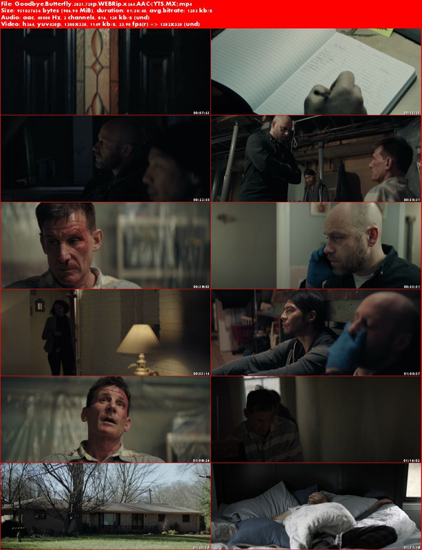 Goodbye-Butterfly-2021-720p-WEBRip-x264-AAC-YTS-MX.jpg