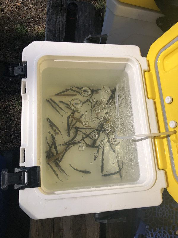 28AA4181-ADE1-4DBC-B0EB-CE0ABDEBED11