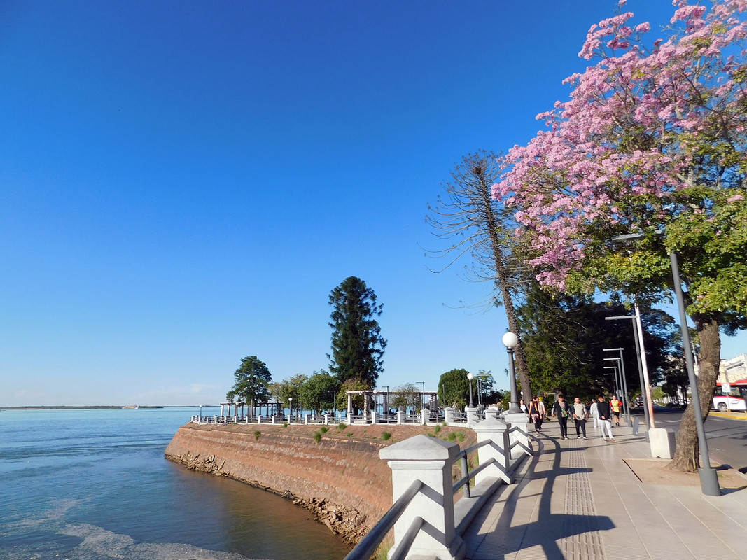 DSCN0682.jpg