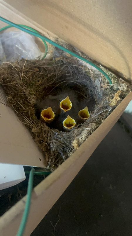 att p2k Qp Z750Dhf Rs Ozf4bxp Yr Kk LSHYFal ZWrm Xs DXSz I