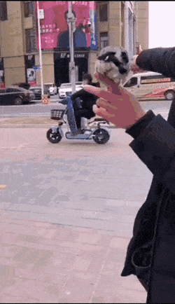 Wow-GIFs-7