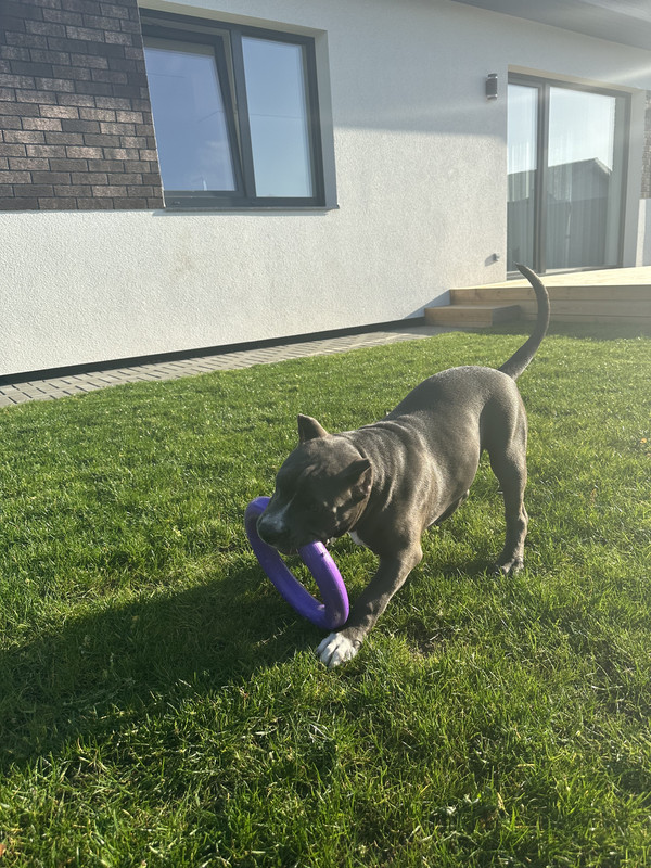 16132CD2-1B7E-45A4-9983-C1908B815477