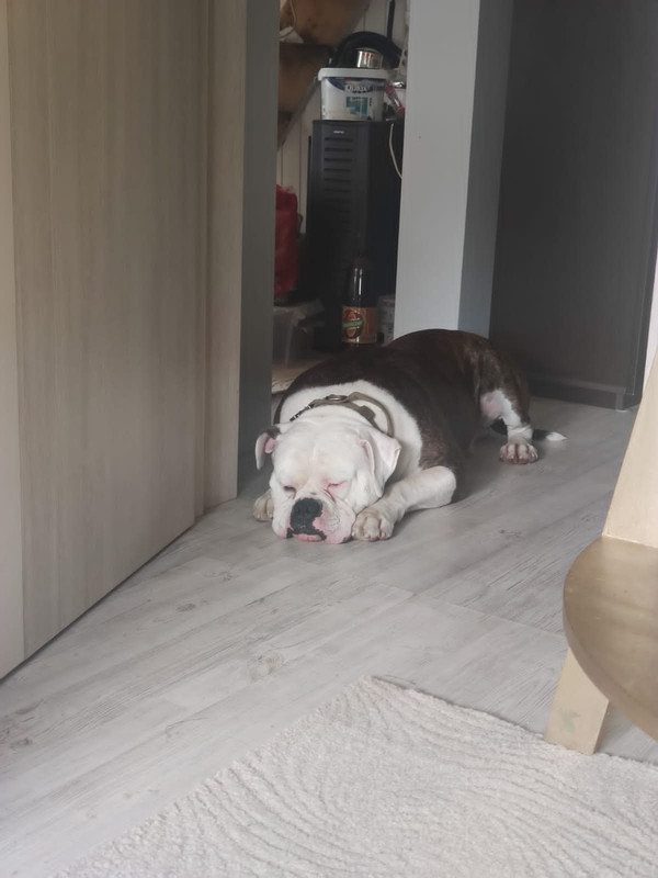 94AA5954-B494-4EB6-B54E-2E862D5DCB0B