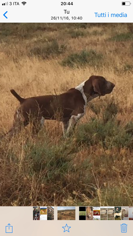 E0E3531A-E582-4B15-89EA-8AA594311B38